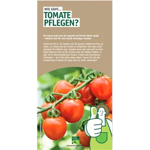 WIE GEHT... TOMATEN PFLEGEN?