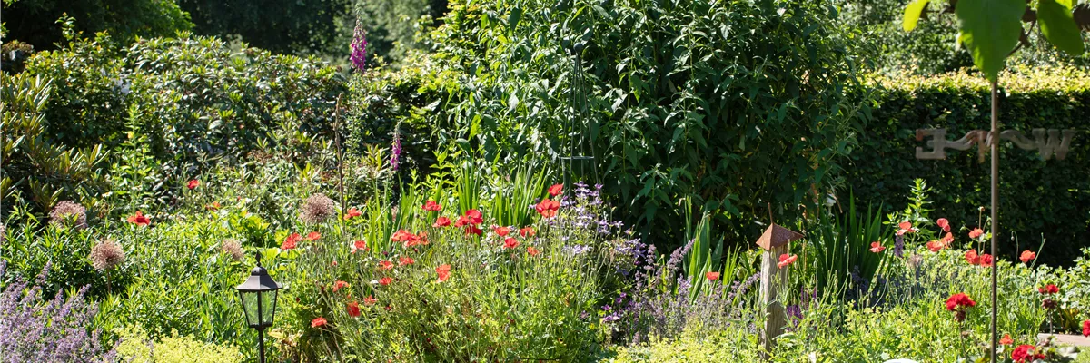 Gartenbeleuchtung im Staudenbeet