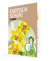 Mockup_Orchieen_Broschuere.jpg