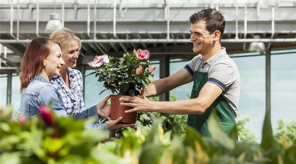 Verkäufer und Kundinnen im Gartencenter